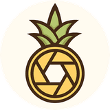 Ananas Video Studio Logo