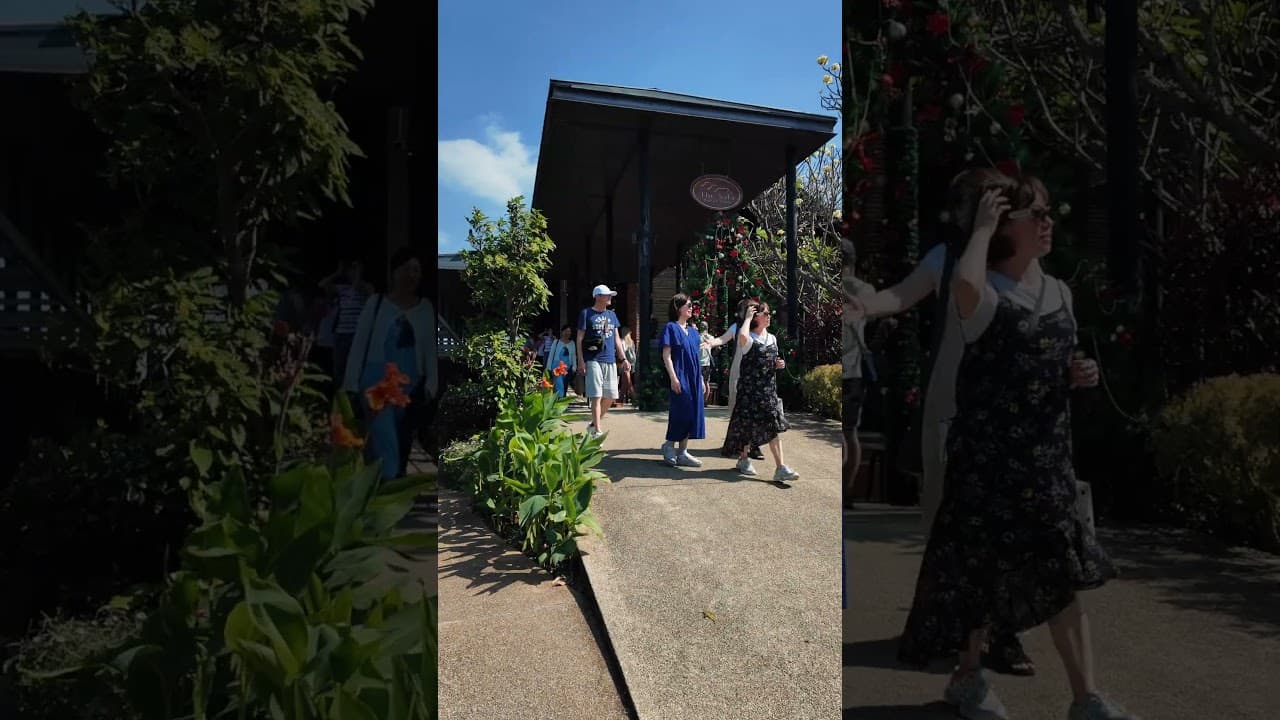 Monsoon Valley Wineyard Hua Hin video thumbnail