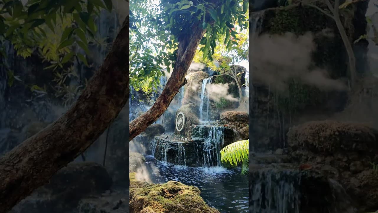 Chom Cafe and Restaurant Promo video thumbnail